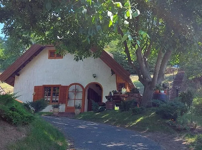 Mit Weinkeller - Nadas Pince Villa Szolosgyorok