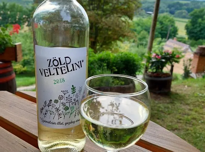 Mit Weinkeller - Nadas Pince Villa