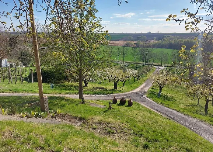 Villa Mit Weinkeller - Nadas Pince *