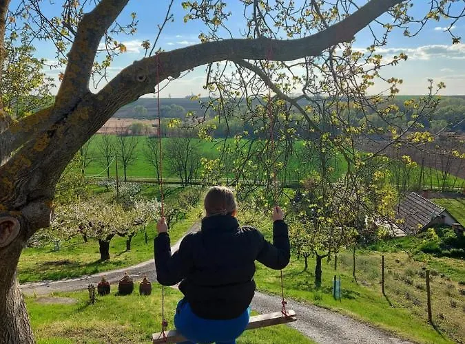 Mit Weinkeller - Nadas Pince * Szolosgyorok