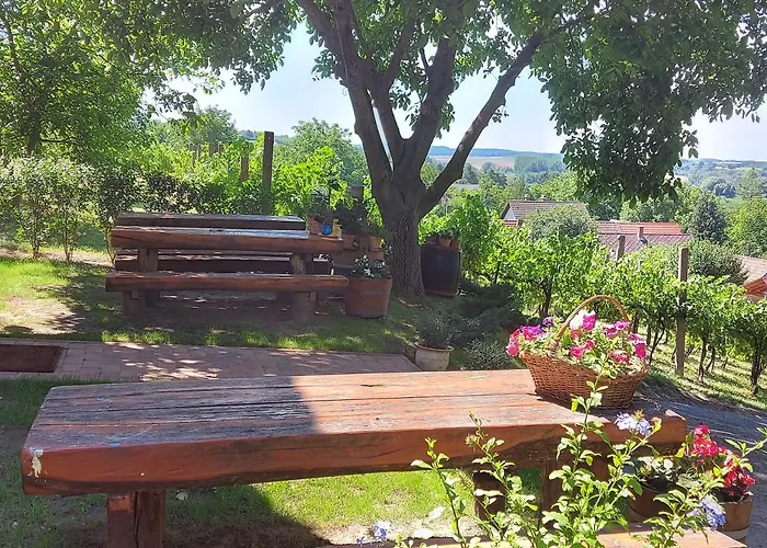 Mit Weinkeller - Nadas Pince *