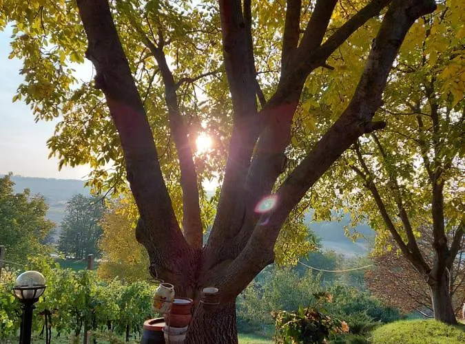 Villa Mit Weinkeller - Nadas Pince *