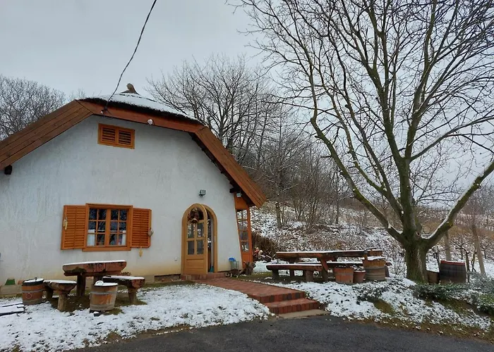 Mit Weinkeller - Nadas Pince *