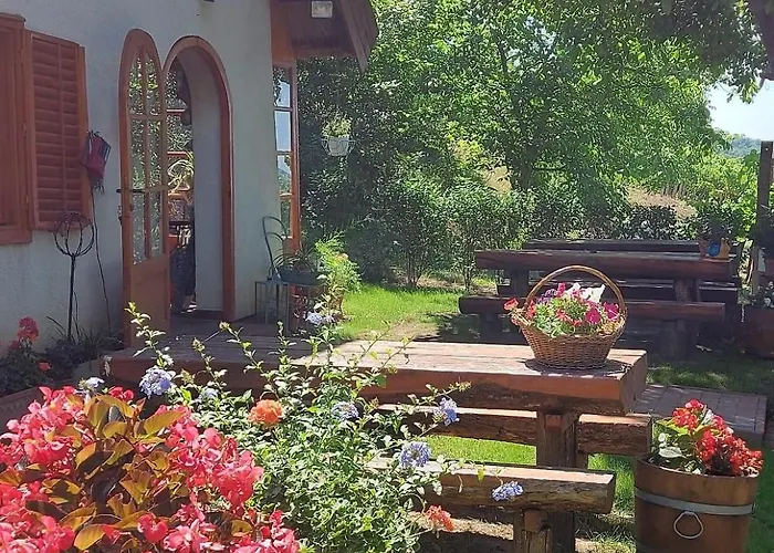 Mit Weinkeller - Nadas Pince *