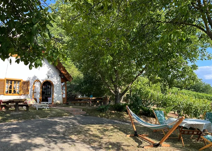 Villa Mit Weinkeller - Nadas Pince Szolosgyorok