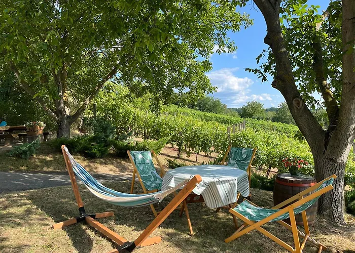 Mit Weinkeller - Nadas Pince Villa Szolosgyorok